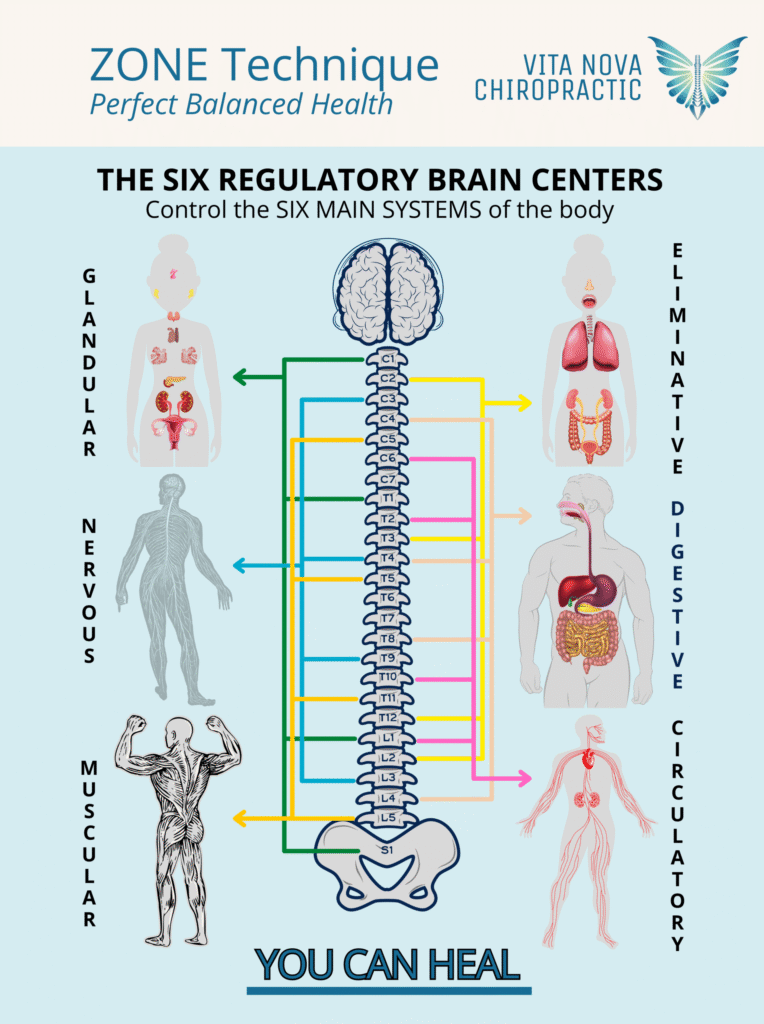 Zone Technique diagram showing six regulatory brain centers and their connection to the body's main