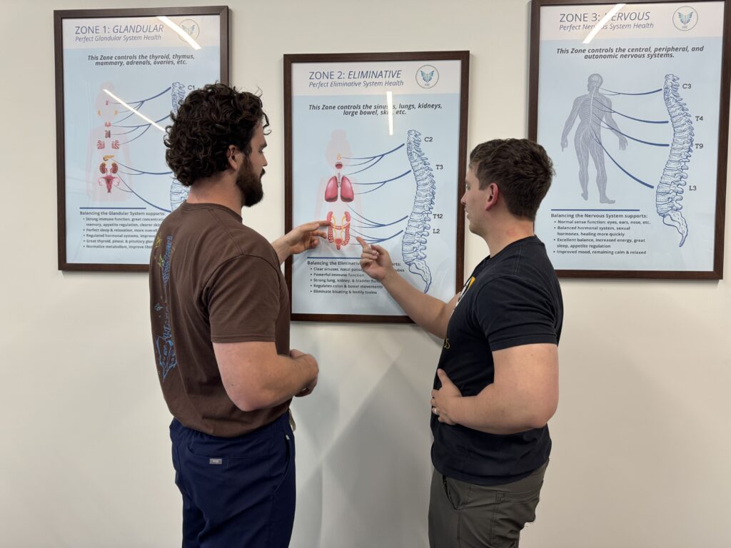 Chiropractor discussing sinus and immune system chart with patient at Vita Nova Chiropractic in Plano, TX, highlighting allergy-related care.
