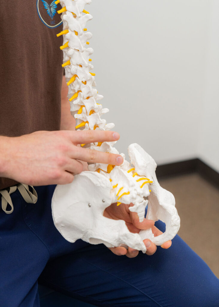 Dr. Korrin using a spine model to explain disc function