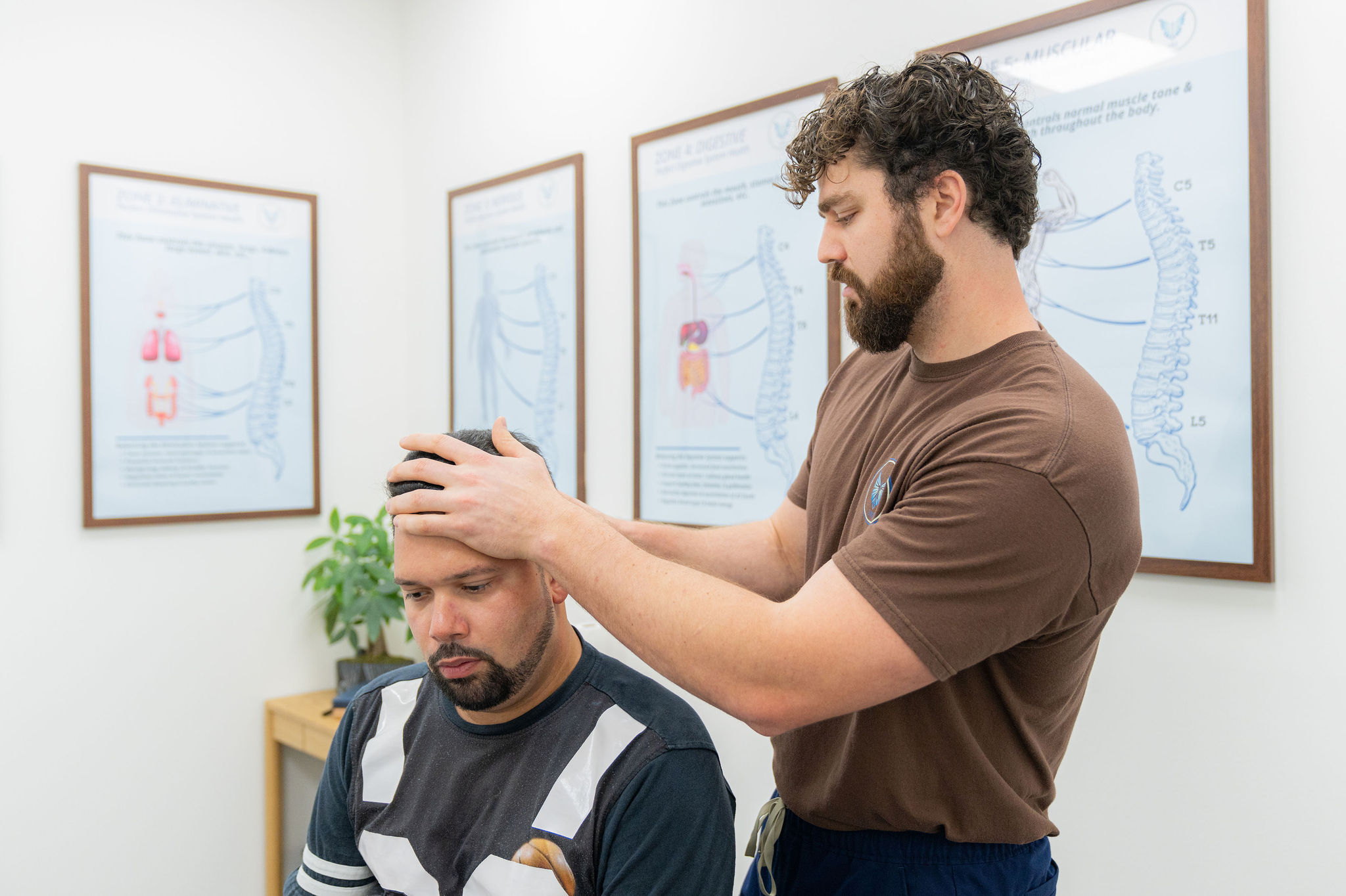 Adult chiropractic care plan Zone Technique Plano TX