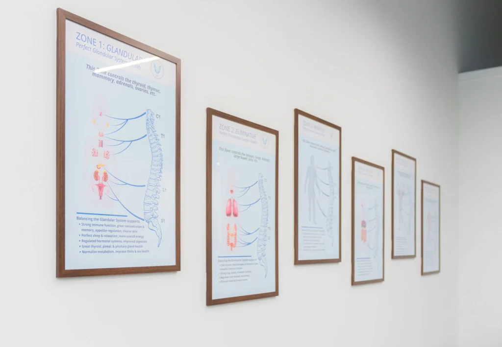Framed Zone Technique educational posters displayed in a row on a white wall, illustrating bodily systems and the spine.